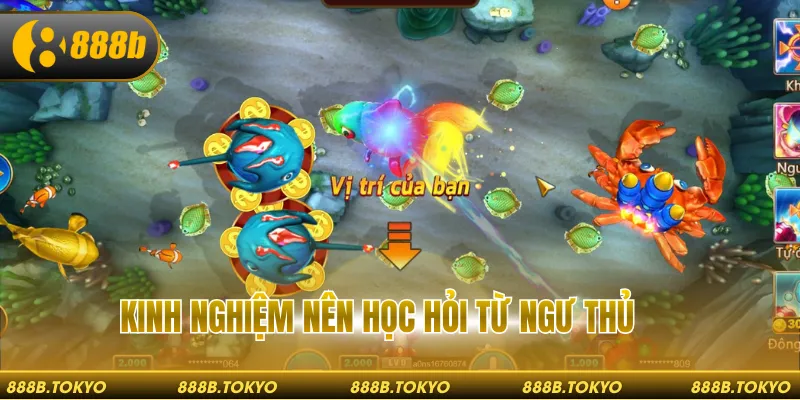 Kinh nghiệm nên học hỏi từ ngư thủ