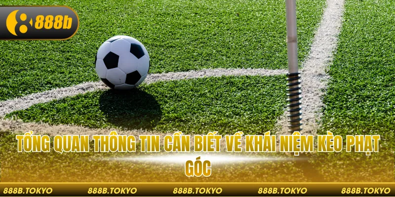 Tổng quan thông tin cần biết về khái niệm kèo phạt góc